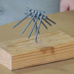 DSCN1779
