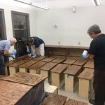 Feedback from Lighthouse Louisiana on Our Community Service Effort