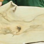 Magnolia Slab for Coffee Table Top