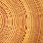 [Link] Stronger Than Steel, Able to Stop a Speeding Bullet—It’s Super Wood!